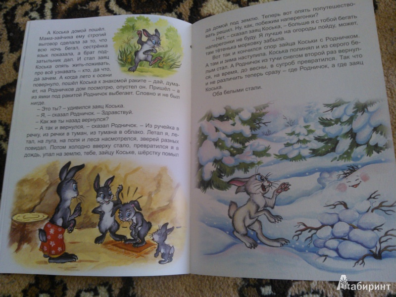 Иллюстрация 14 из 14 для Волшебные очки - Николай Грибачев | Лабиринт - книги. Источник: Вероника Руднева