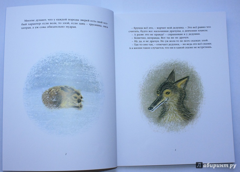 Иллюстрация 17 из 53 для Правдивая история о добром волке - Петер Никл | Лабиринт - книги. Источник: КНИЖНОЕ ДЕТСТВО