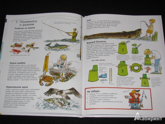 Иллюстрация 59 из 60 для Книга для начинающих великих рыболовов - Нурдквист, Вернер-Карлссон | Лабиринт - книги. Источник: Nemertona