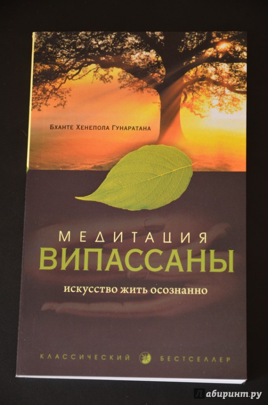 Иллюстрация 2 из 27 для Медитация випассаны. Искусство жить осознанно - Бханте Гунаратана | Лабиринт - книги. Источник: cyrillic