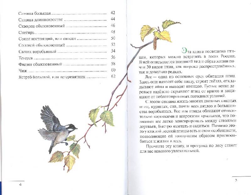 Иллюстрация 12 из 38 для Птицы леса - Бровкина, Сивоглазов | Лабиринт - книги. Источник: мамаОля