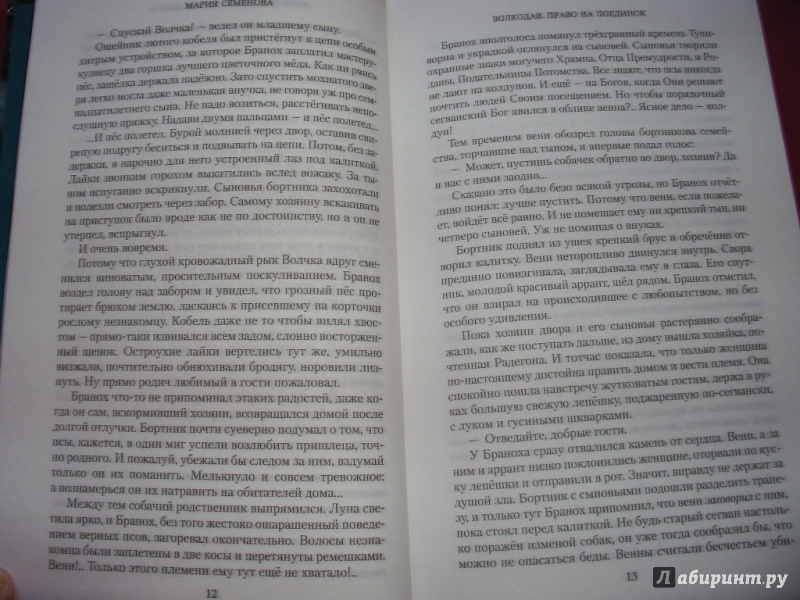 Иллюстрация 10 из 20 для Волкодав. Право на поединок - Мария Семенова | Лабиринт - книги. Источник: Tiger.