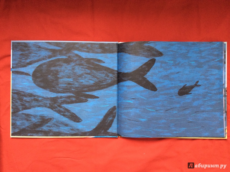 Иллюстрация 15 из 71 для День, когда я встретил кита - Бенджи Дэвис | Лабиринт - книги. Источник: Helgaz
