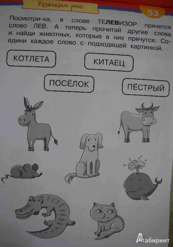 Постели, смешные загадки в рисунках