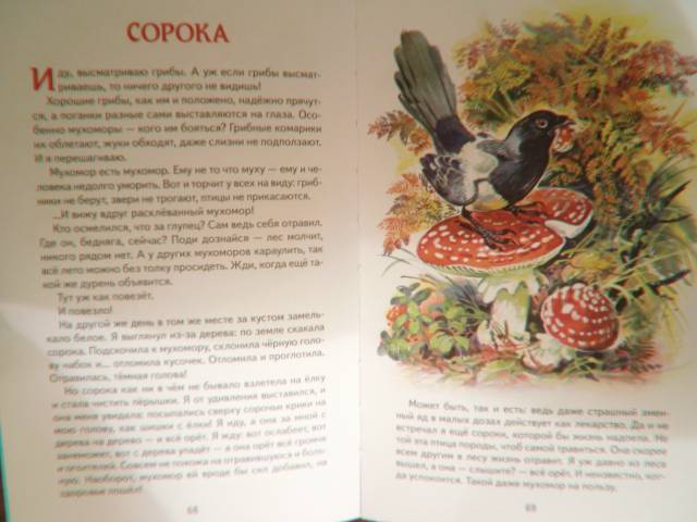 Иллюстрация 24 из 46 для Лесные сказки - Николай Сладков | Лабиринт - книги. Источник: Волжанка