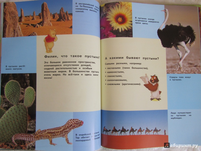Иллюстрация 22 из 60 для Земля (Winnie the Pooh) | Лабиринт - книги. Источник: Булавинцева Маргарита