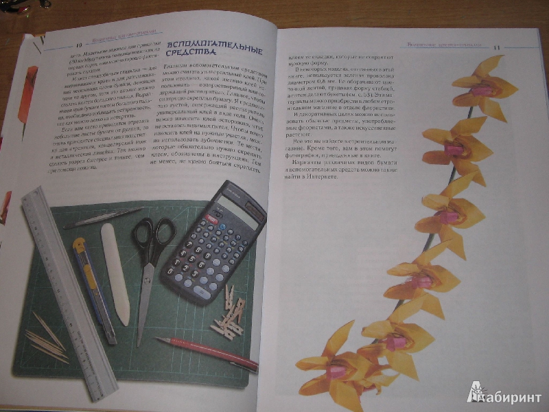Иллюстрация 6 из 10 для Волшебные цветы-оригами - Йенс-Хельге Дамен | Лабиринт - книги. Источник: Рыженький