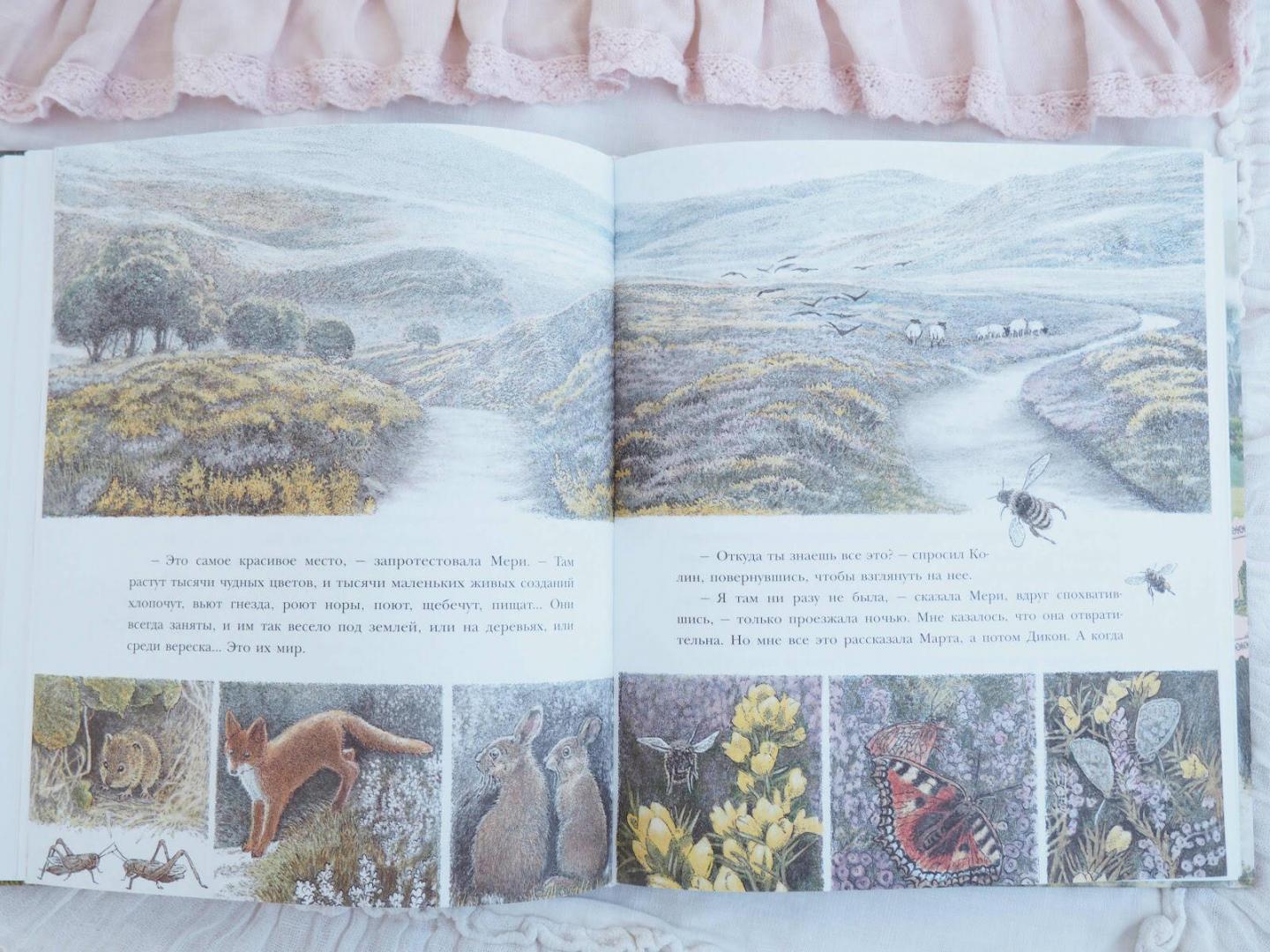 Иллюстрация 69 из 72 для Таинственный сад - Фрэнсис Бёрнетт | Лабиринт - книги. Источник: Шурыгина  Татьяна