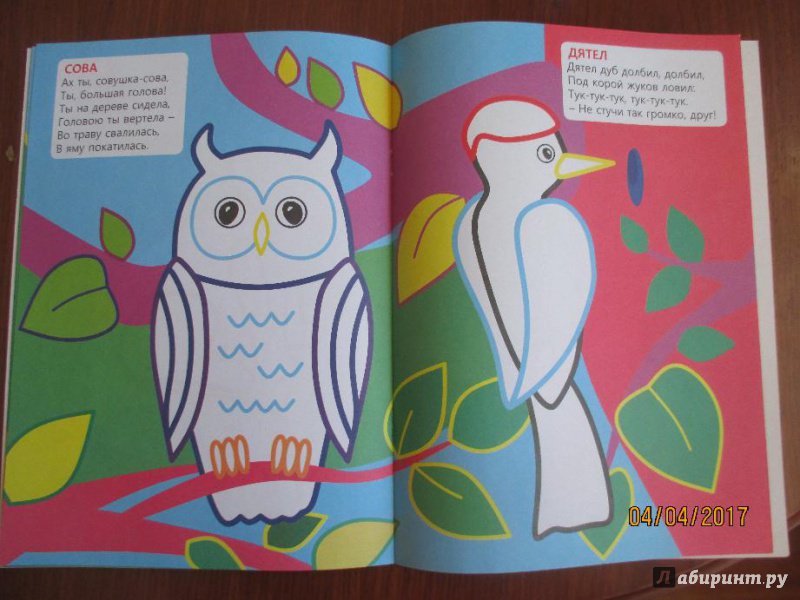 Иллюстрация 9 из 10 для Раскраска "На лесной опушке" | Лабиринт - книги. Источник: Марина Епифанцева