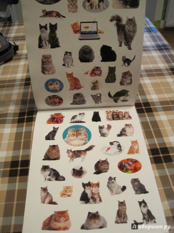 Иллюстрация 8 из 12 для 100 наклеек. Любимые кошки | Лабиринт - книги. Источник: Наталья