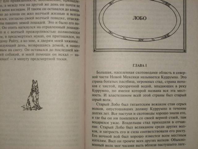 Иллюстрация 9 из 16 для Рассказы о животных - Эрнест Сетон-Томпсон | Лабиринт - книги. Источник: МЕГ