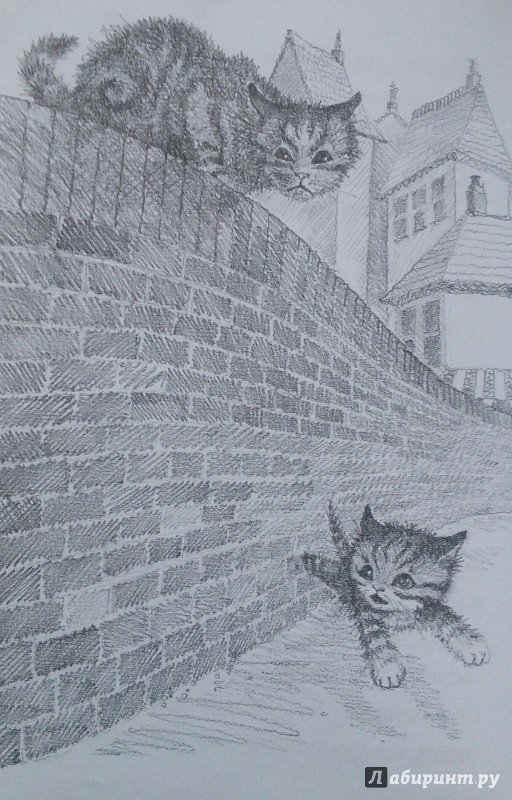 Иллюстрация 55 из 81 для Котёнок Пушинка, или Рождественское чудо - Холли Вебб | Лабиринт - книги. Источник: Лабиринт