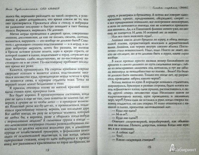 Иллюстрация 8 из 25 для Сад камней - Яна Дубинянская | Лабиринт - книги. Источник: Леонид Сергеев