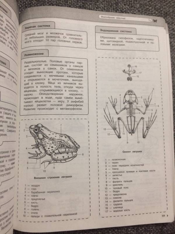 Иллюстрация 52 из 78 для Биология - Мазур, Никитинская | Лабиринт - книги. Источник: Хохлина  Арина