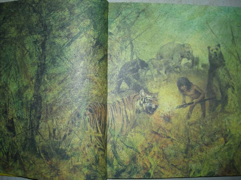 Иллюстрация 123 из 164 для Книга джунглей - Редьярд Киплинг | Лабиринт - книги. Источник: Мартынова  Анна Владимировна