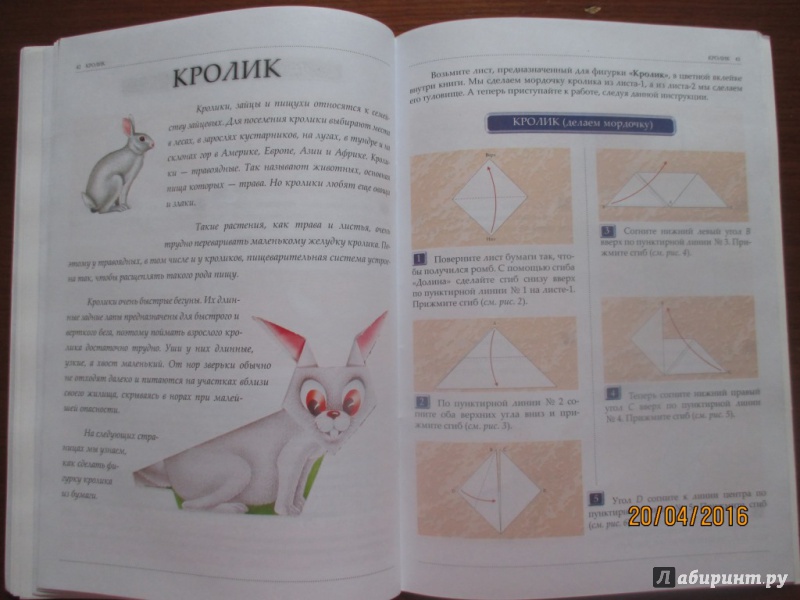 Иллюстрация 28 из 30 для Оригами. Волшебство из бумаги. Книга 3 | Лабиринт - книги. Источник: Марина Епифанцева