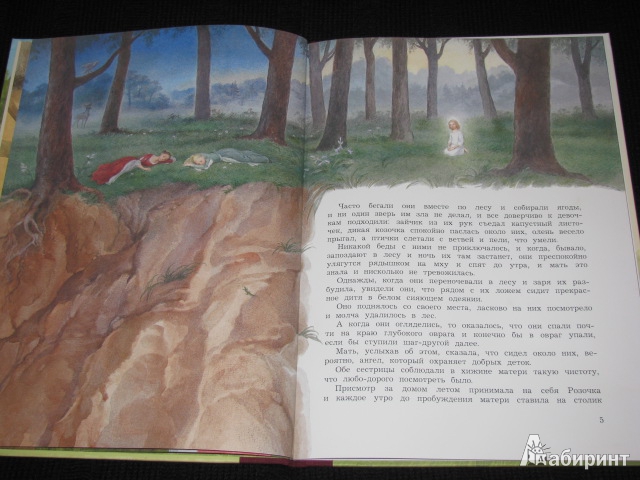 Иллюстрация 6 из 41 для Белоснежка и Розочка - Гримм Якоб и Вильгельм | Лабиринт - книги. Источник: Nemertona