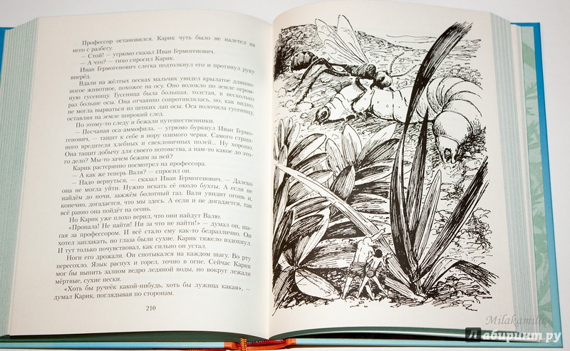 Иллюстрация 81 из 101 для Необыкновенные приключения Карика и Вали - Ян Ларри | Лабиринт - книги. Источник: Букландия