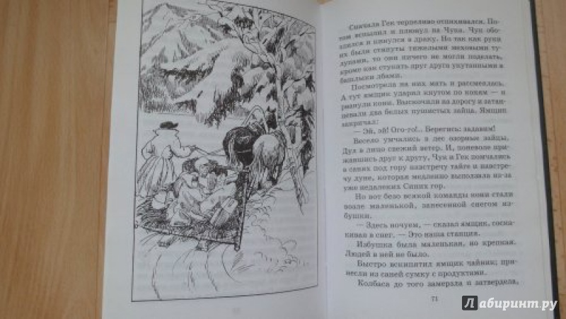 Иллюстрация 22 из 47 для Тимур и его команда - Аркадий Гайдар | Лабиринт - книги. Источник: Елена Ка