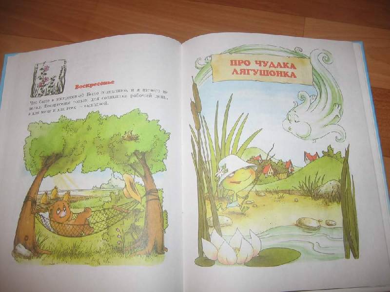 Иллюстрация 12 из 12 для Разноцветный жираф - Геннадий Цыферов | Лабиринт - книги. Источник: Федора