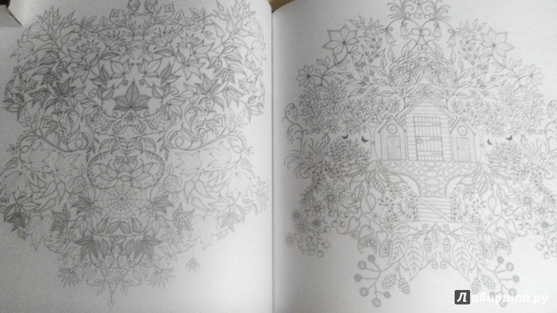 Иллюстрация 144 из 149 для Таинственный сад - Джоанна Бэсфорд | Лабиринт - книги. Источник: Красная шапочка