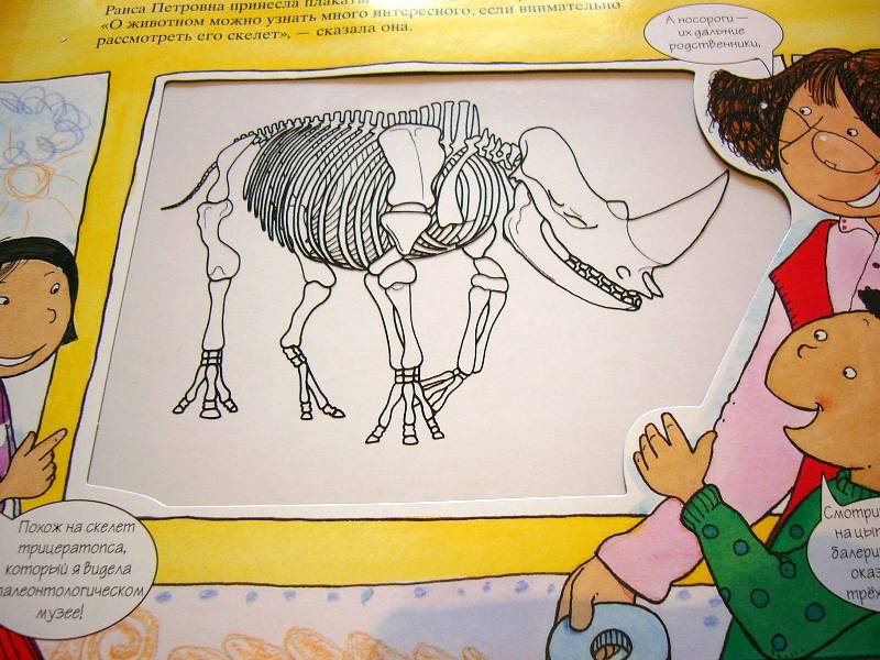 Иллюстрация 33 из 70 для Животные Африки. Магические скелеты | Лабиринт - книги. Источник: Nika