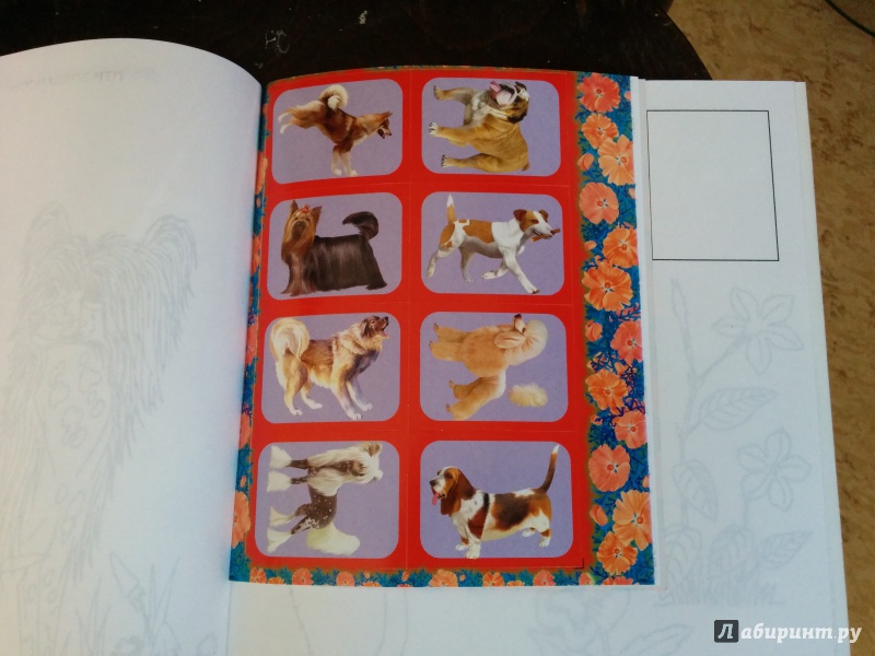 Иллюстрация 2 из 7 для Собаки. Волшебные прозрачные страницы с наклейками - Н. Истомина | Лабиринт - книги. Источник: Gewdron