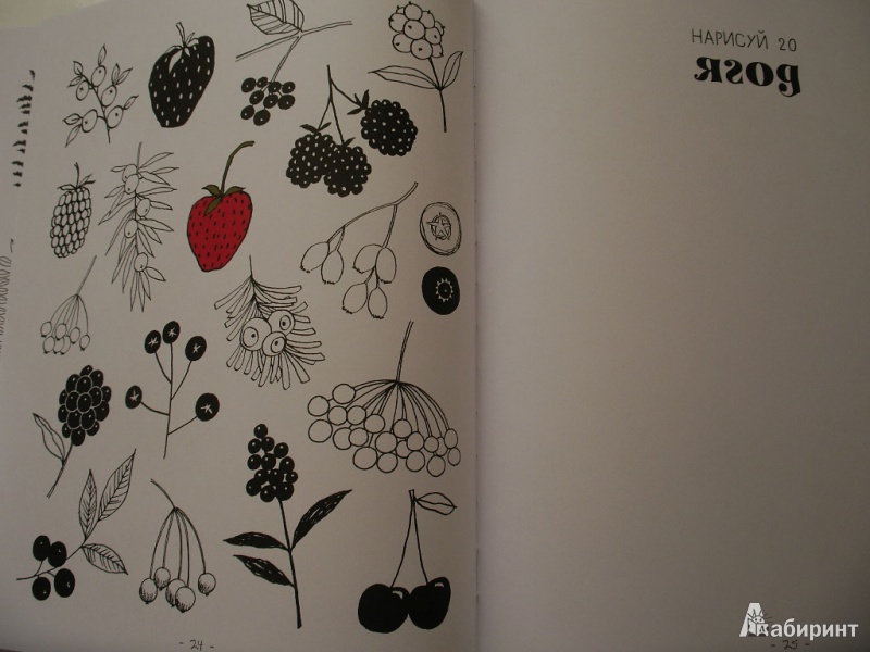 Иллюстрация 17 из 42 для 20 способов нарисовать дерево и другие 44 чуда природы - Элоиз Ренуф | Лабиринт - книги. Источник: Tiger.