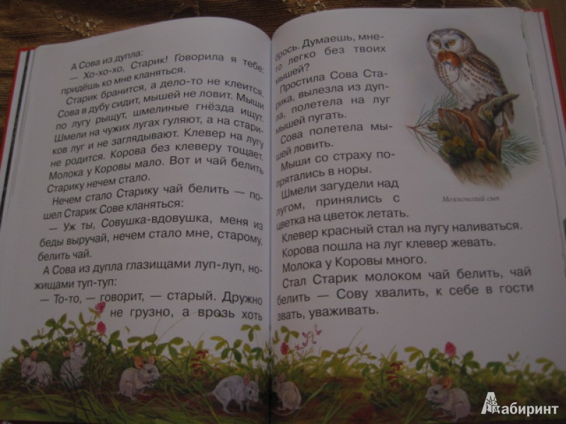 Иллюстрация 8 из 62 для Сказки и рассказы о животных - Виталий Бианки | Лабиринт - книги. Источник: Книгомама