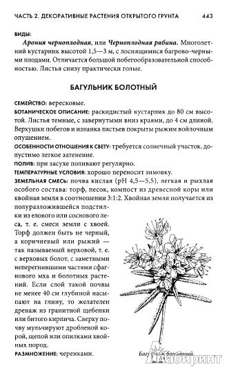 Иллюстрация 3 из 30 для Энциклопедия комнатных и садовых растений | Лабиринт - книги. Источник: Низамутдинова  Олия