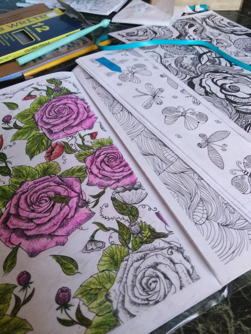 Иллюстрация 30 из 32 для Книга-раскраска. Прекрасные сады | Лабиринт - книги. Источник: Еричана Ирина-Манинья
