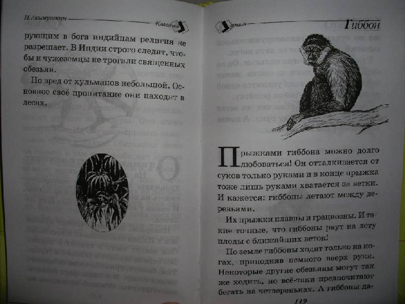 Иллюстрация 17 из 24 для В мире животных - Игорь Акимушкин | Лабиринт - книги. Источник: Tiger.