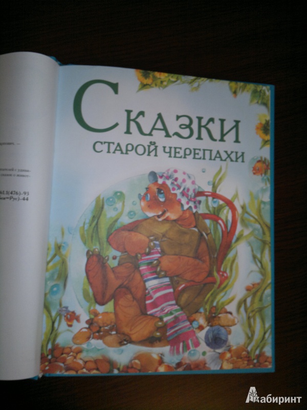 Иллюстрация 2 из 11 для Сказки старой черепахи - Валерий Кастрючин | Лабиринт - книги. Источник: Книголюбительница