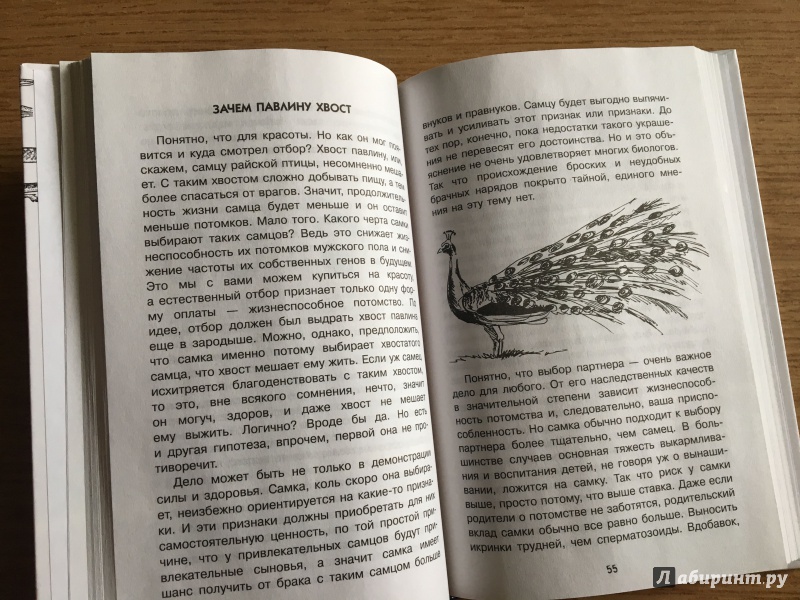 Иллюстрация 8 из 29 для Нескучная биология - Алексей Целлариус | Лабиринт - книги. Источник: Лабиринт
