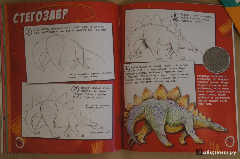 Иллюстрация 29 из 33 для Как нарисовать супердинозавра - Сьюзи Ходж | Лабиринт - книги. Источник: Кириллова  Екатерина Станиславовна
