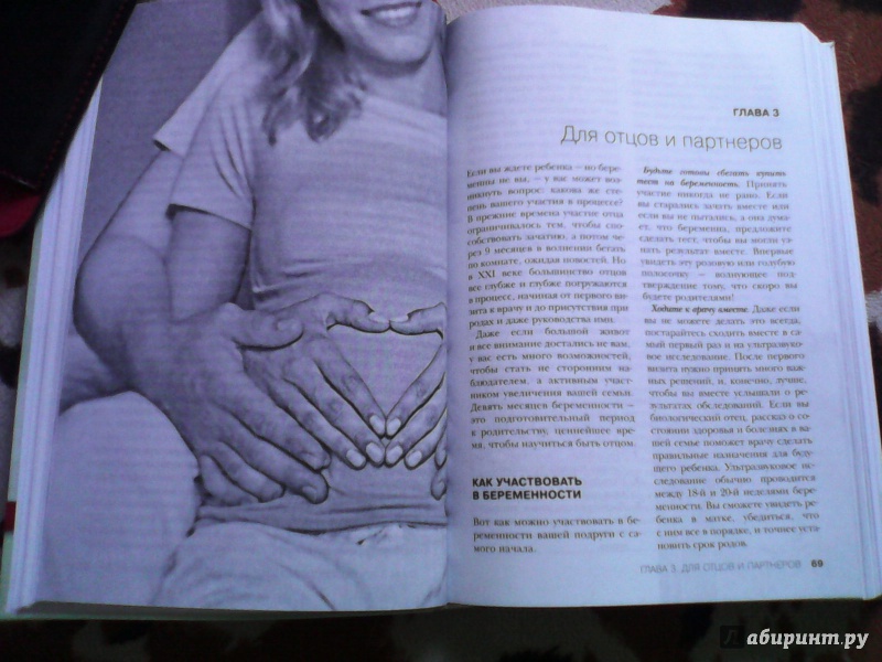 Иллюстрация 9 из 10 для Самое полное руководство по здоровой беременности от лучших акушеров и гинекологов | Лабиринт - книги. Источник: AnnaStl