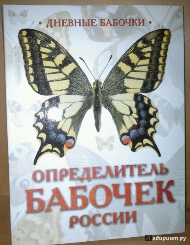Иллюстрация 24 из 24 для Дневные бабочки. Определитель бабочек России - Каабак, Сочивко | Лабиринт - книги. Источник: Космос