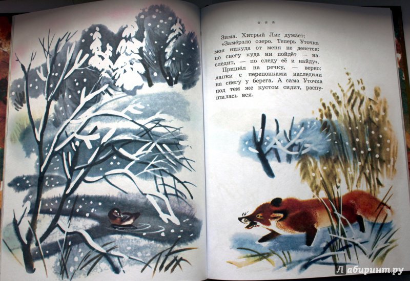 Иллюстрация 6 из 34 для Теремок - Виталий Бианки | Лабиринт - книги. Источник: Половинкина  Юлия