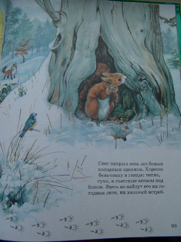 Иллюстрация 11 из 28 для По следам любимых зверят - Мари Дюваль | Лабиринт - книги. Источник: Лаванда