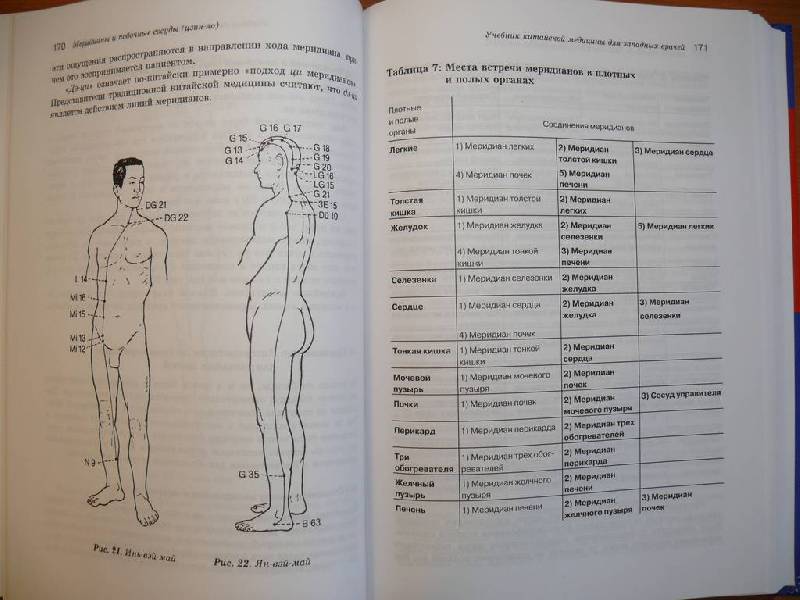 Иллюстрация 14 из 30 для Учебник китайской медицины для западных врачей - Клаус Шнорренбергер | Лабиринт - книги. Источник: Caelus