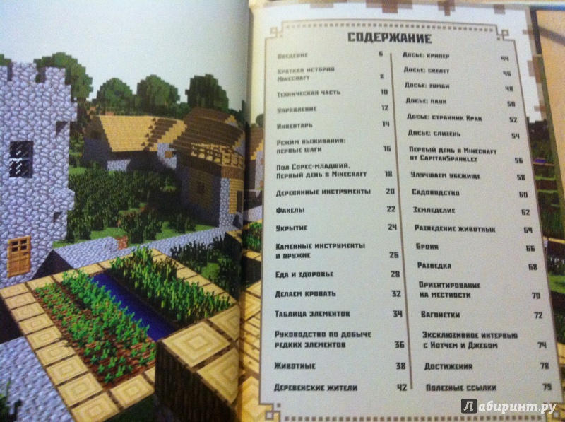 Иллюстрация 9 из 27 для Руководство для начинающих. Minecraft - Stephanie Milton | Лабиринт - книги. Источник: Лабиринт