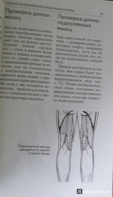 Иллюстрация 12 из 20 для Пилатес для спины - Робинсон, Фишер, Масси | Лабиринт - книги. Источник: Rey  Kristina