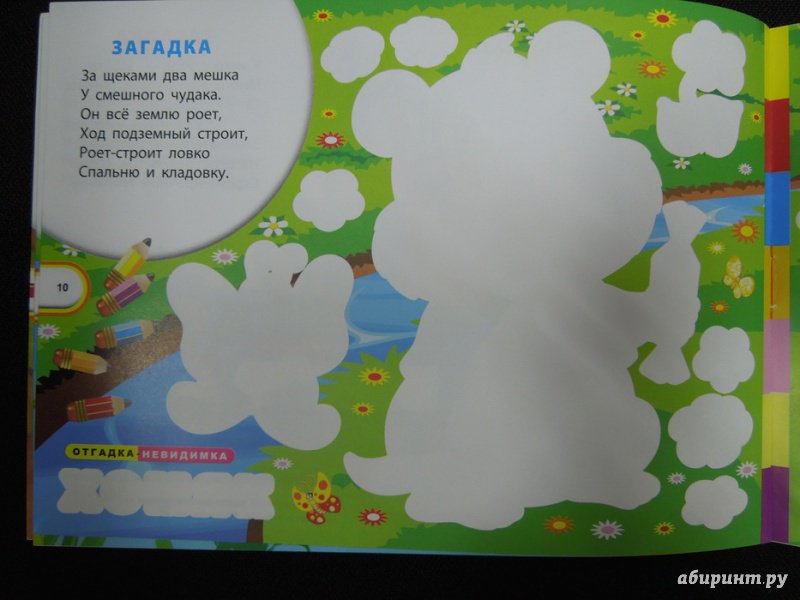 Иллюстрация 24 из 27 для Загадки-невидимки. На лесных тропинках - Сергей Гордиенко | Лабиринт - книги. Источник: Королева  Кристина