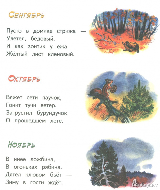 Иллюстрация 8 из 15 для Осень - рыжая лиса - Владимир Степанов | Лабиринт - книги. Источник: амиранна