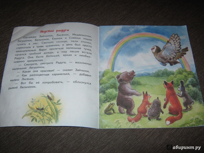 Иллюстрация 14 из 30 для Вкусная радуга - Елена Ермолова | Лабиринт - книги. Источник: Гришина мама