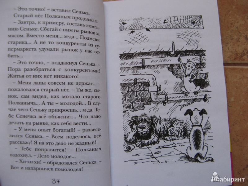 Иллюстрация 15 из 33 для Пончик идет по следу - Карен Арутюнянц | Лабиринт - книги. Источник: Ольга