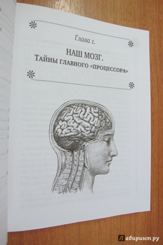 Иллюстрация 12 из 30 для Суперключ для развития мозга! - Антон Могучий | Лабиринт - книги. Источник: Hitopadesa