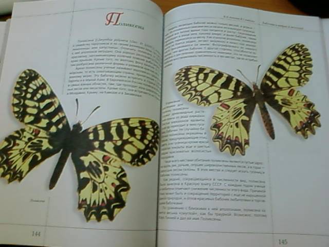 Иллюстрация 49 из 50 для Бабочки в мифах и легендах - Алексеев, Бабенко | Лабиринт - книги. Источник: lettrice
