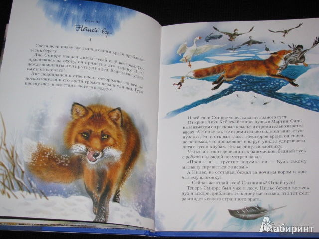 Иллюстрация 25 из 30 для Чудесное путешествие Нильса с дикими гусями - Сельма Лагерлеф | Лабиринт - книги. Источник: Nemertona