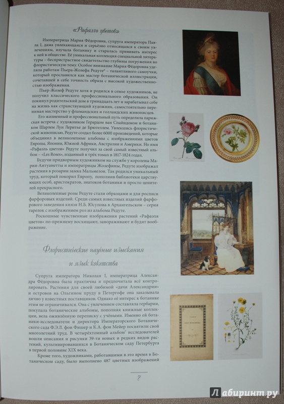 Иллюстрация 8 из 34 для Мода на ботанику. Цветочный мир Петергофа - Волкова, Трубановская | Лабиринт - книги. Источник: Книжный кот